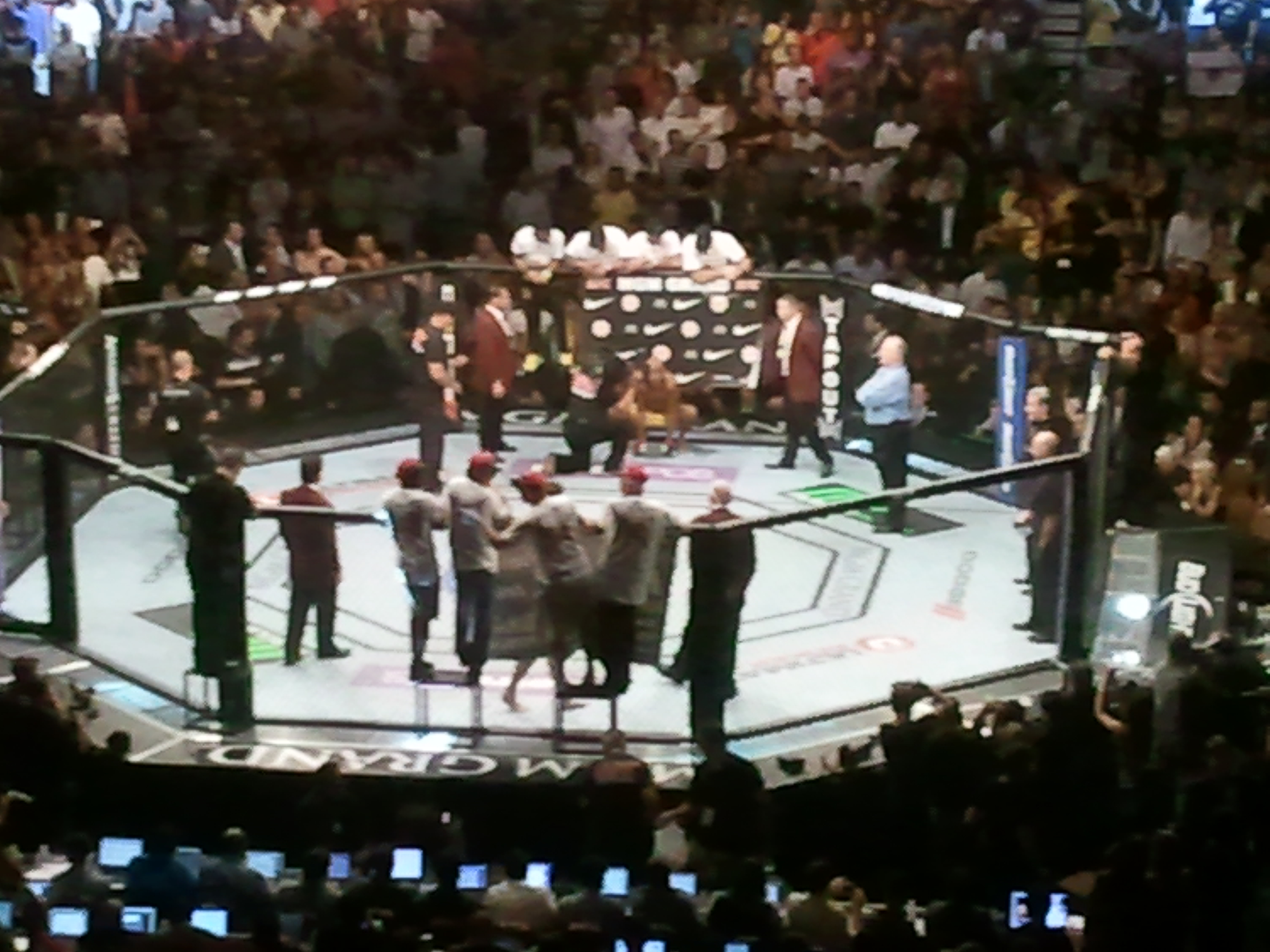 UFC 148